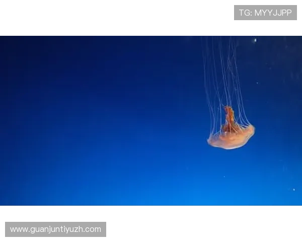 星空体育网页版登录入口：如何确保登录安全与个人信息保护措施